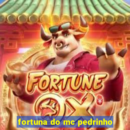 fortuna do mc pedrinho