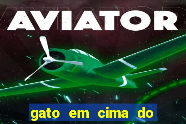 gato em cima do telhado significado espiritual