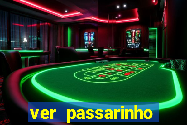 ver passarinho morto significado