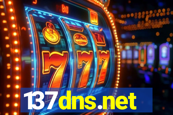 137dns.net