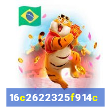 559bet.