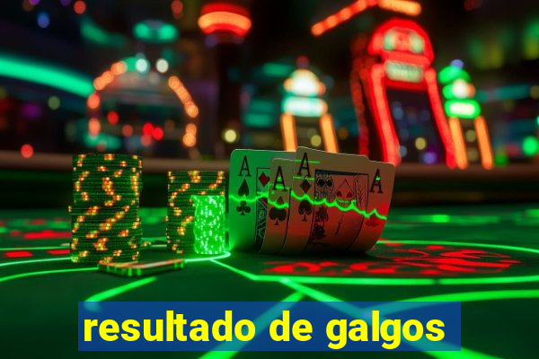 resultado de galgos