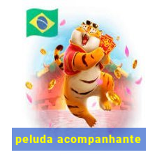 peluda acompanhante