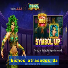 bichos atrasados da loteria federal