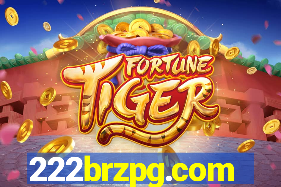 222brzpg.com