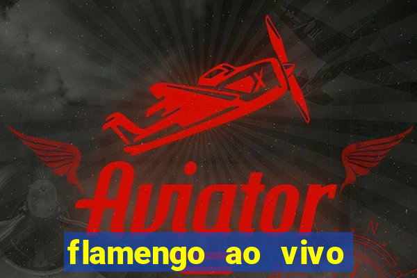 flamengo ao vivo hd play
