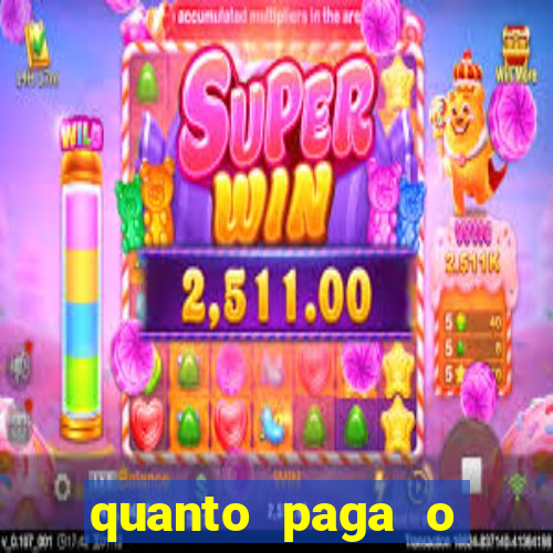 quanto paga o jungle fight