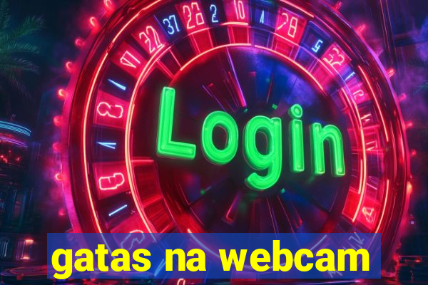 gatas na webcam