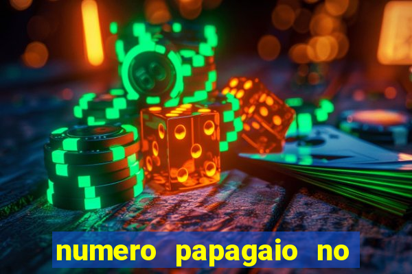 numero papagaio no jogo do bicho