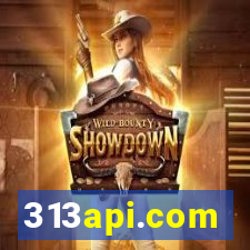 313api.com