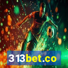 313bet.co