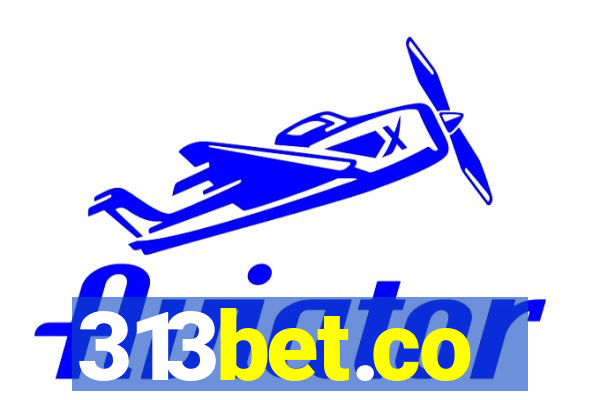 313bet.co