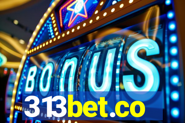 313bet.co