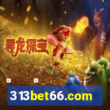 313bet66.com