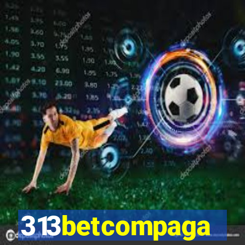 313betcompaga
