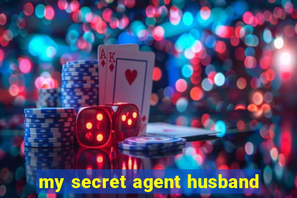 my secret agent husband