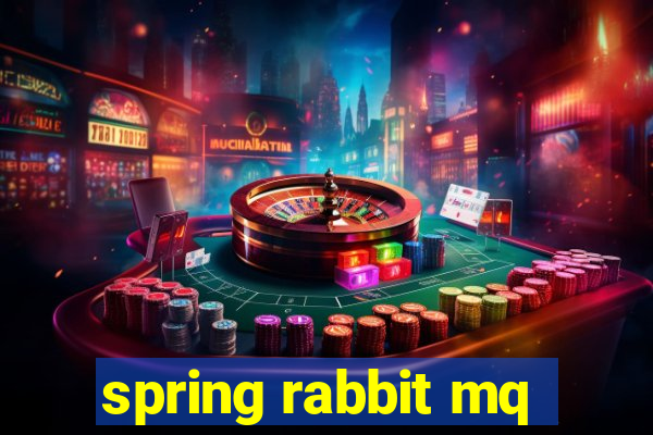 spring rabbit mq