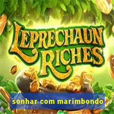 sonhar com marimbondo