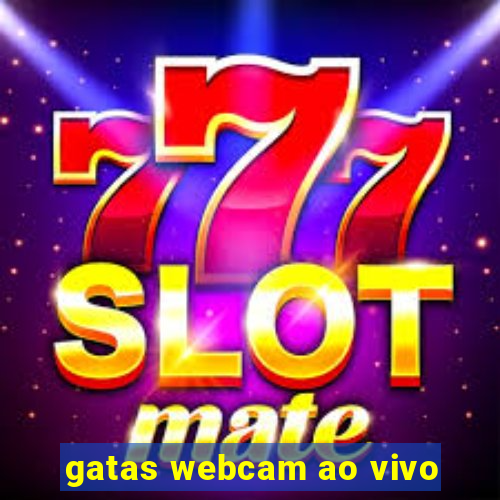 gatas webcam ao vivo