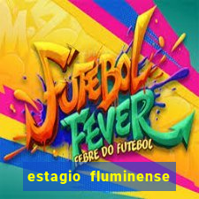 estagio fluminense futebol clube