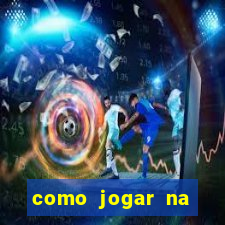 como jogar na seninha online