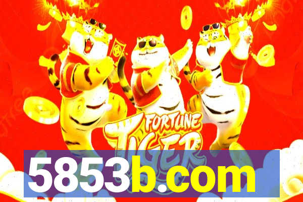 5853b.com