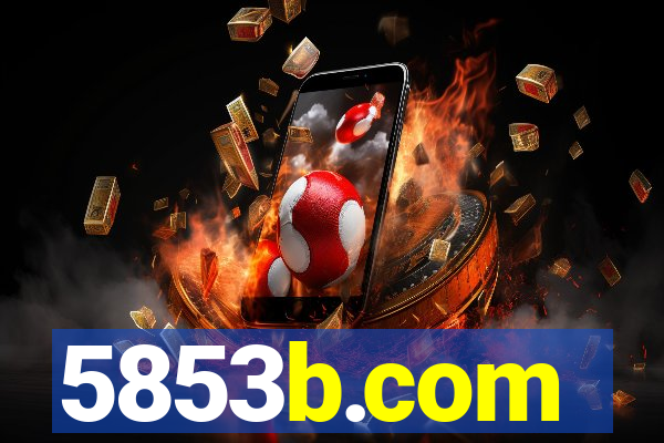 5853b.com