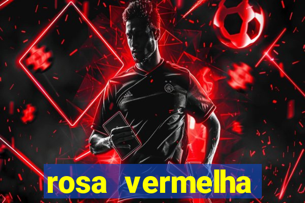 rosa vermelha (letra e cifra)