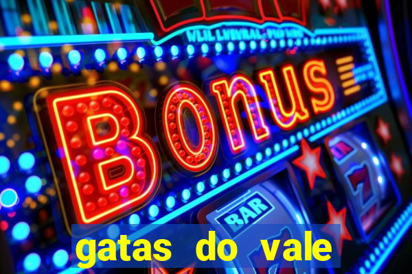 gatas do vale juazeiro bahia