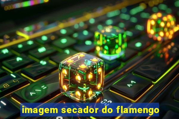 imagem secador do flamengo