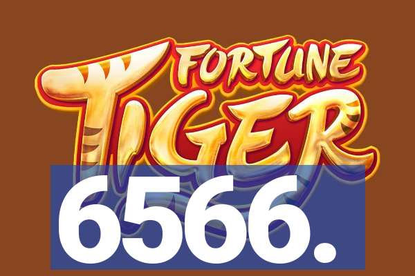 6566.
