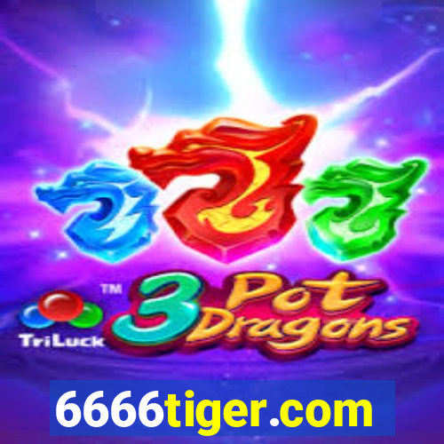 6666tiger.com