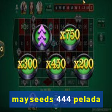 mayseeds 444 pelada