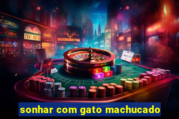 sonhar com gato machucado