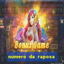 numero da raposa jogo do bicho
