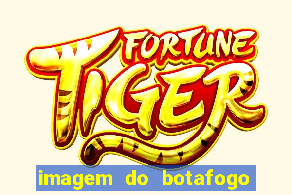 imagem do botafogo zuando o palmeiras