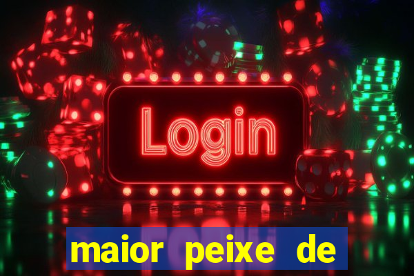 maior peixe de couro do brasil
