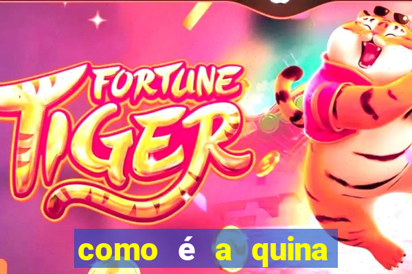 como é a quina do bingo