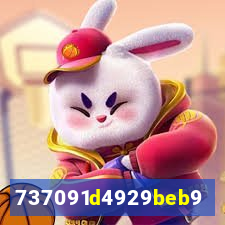 plataforma bet917.com