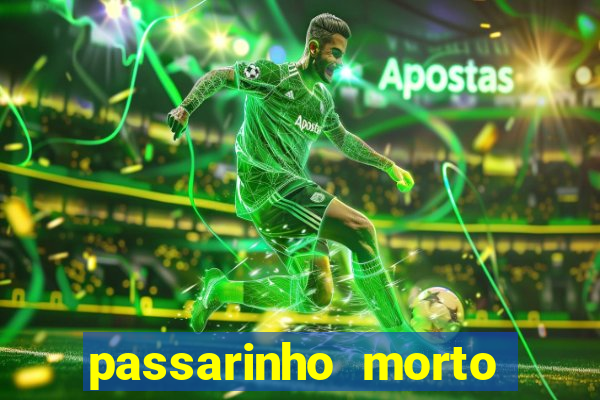 passarinho morto significado espiritual