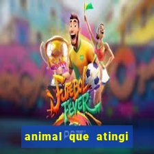 animal que atingi 230 decibeis