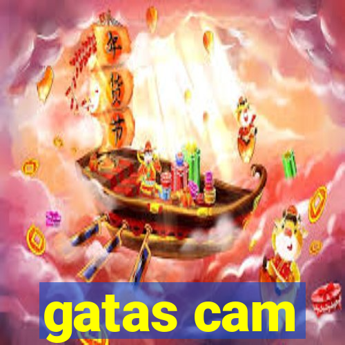 gatas cam