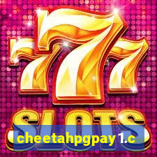 cheetahpgpay1.com