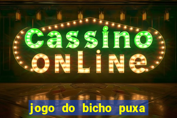 jogo do bicho puxa de dona maria