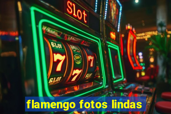 flamengo fotos lindas