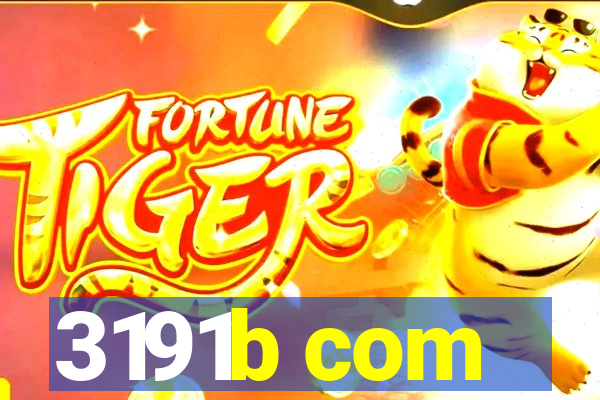 3191b com