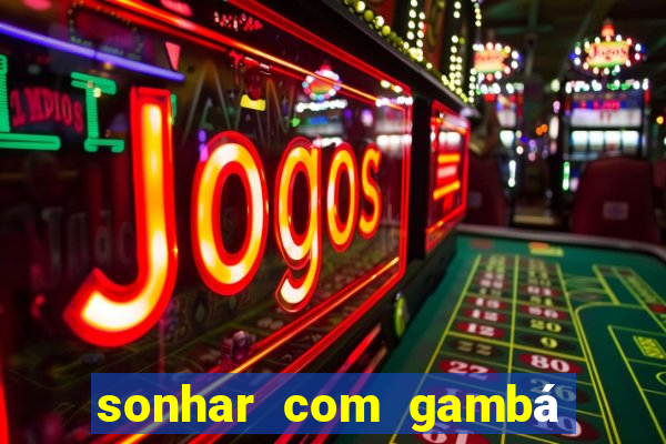 sonhar com gambá jogo do bicho