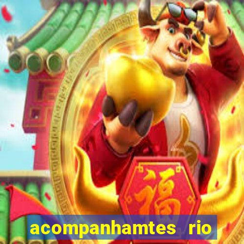 acompanhamtes rio de janeiro