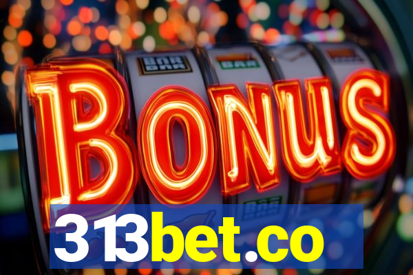 313bet.co