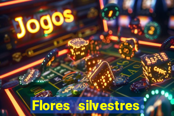 Flores silvestres brasileiras brasileiras flores silvestres nomes e imagens
